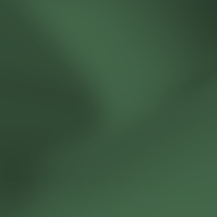 2025-sanegor-tiles-11